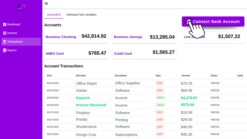 Ledger IQ Connect Bank Account Interface